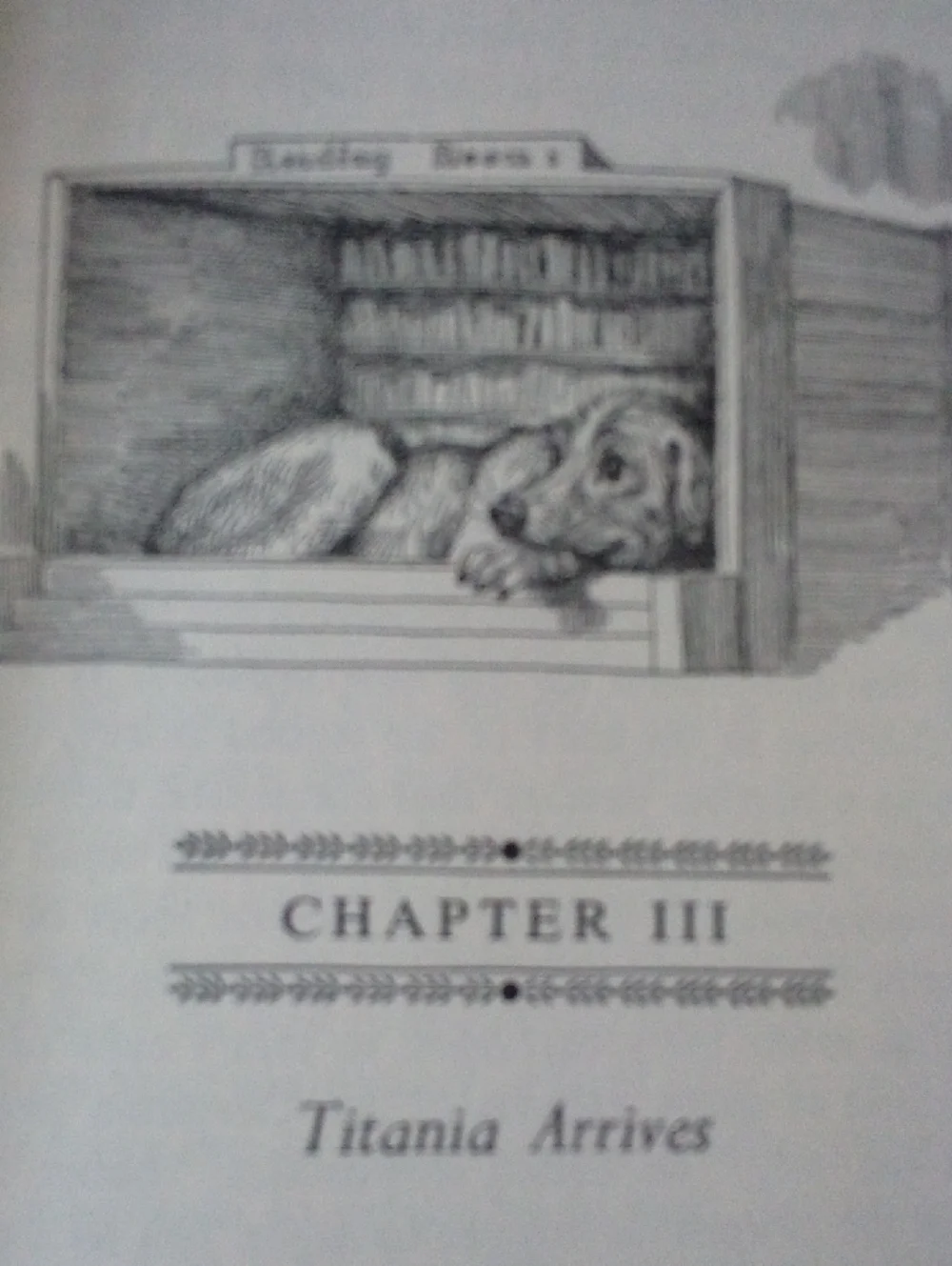 N/A gothic novels